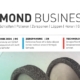 Diamond Business GST